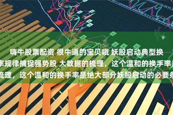 嗨牛股票配资 很牛逼的宝贝哦 妖股启动典型换手特点 掌握首板换手率规律捕捉强势股 大数据的梳理,这个温和的换手率是绝大部分妖股启动的必要条件